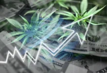 5starsstocks.com cannabis